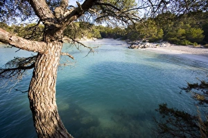 Macarella beach