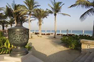 Palm trees, Jumeirah Beach, Dubai, United Arab Emirates, Middle East