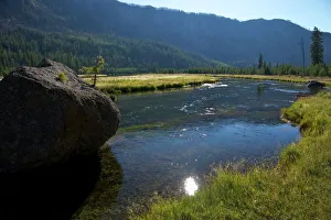 Madison River valley near Madison, Yellowstone National Park, UNESCO World Heritage Site, Wyoming, United States of America, North America