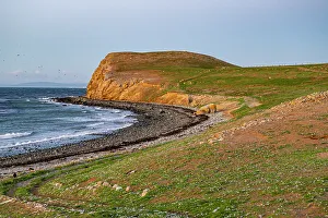 Wonderful Prints: Magdalena Island, Magallanes Region, Punta Arenas, Chile, South America