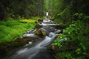 Nature Lovers Prints: The Magic Waterfall in summertime