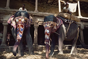Varanasi Prints: The Maharajahs elephants, Varanasi, Uttar Pradesh state, India, Asia