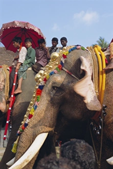 Images Dated 2nd August 2008: Mahoot and boys on decorated elephants at a roadside festival