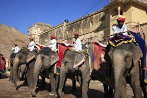 Flag Pole Prints: Mahouts and elephants, Amber Fort Palace, Jaipur, Rajasthan, India, Asia