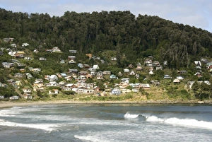 Pacific Coast Prints: Maicolpue, Osorno, Pacific coast of Lakes District, southern Chile, South America