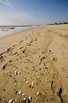 Images Dated 1st November 2008: Main Beach, East Hampton, the Hamptons, Long Island, New York State, United States of America