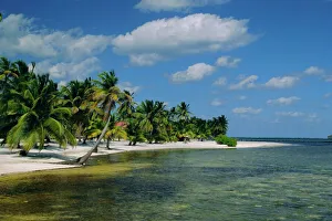 Vacationing Prints: Main dive site in Belize, Ambergris Caye, Belize, Central America
