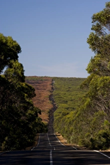 Images Dated 8th November 2007: Main road through the forest, Flinders Chase National Park, Kangaroo Island