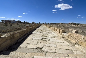 Images Dated 25th March 2008: One of the main roads at the Roman ruin of Sbeitla, Tunisia, North Africa, Africa