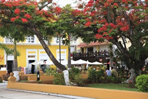 Cozumel Island Prints: Main Square, San Miguel de Cozumel