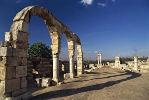 Lebanon Prints: Main street with arcades and tetrastyle, Umayyad Anjar, UNESCO World Heritage Site