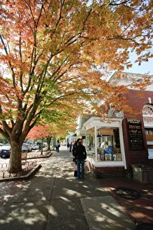 Pavements Prints: Main Street, East Hampton, the Hamptons