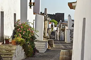 Alentejo Prints: Main street in Monsaraz village shows white buildings and flowers along the pathway in Alentejo region of Portugal