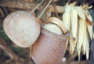 Equipment Prints: Maize and Indian baskets, Brazil, South America