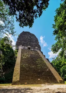 Pyramid Prints: Majestic steps of Temple V at Tikal rising toward the sky under a bright blue backdrop in Guatemala