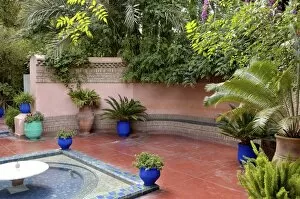 Images Dated 3rd May 2007: The Majorelle Garden, created by the French cabinetmaker Louis Majorelle