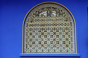 Marrakesh Prints: The Majorelle Garden, created by the French cabinetmaker Louis Majorelle