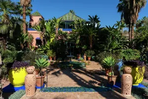 Fountains Prints: Majorelle Garden provides a vibrant view of plants and architecture under the clear sky in Marrakech