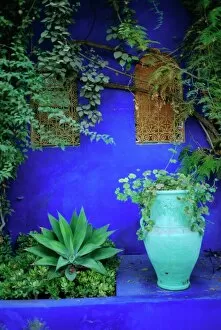 Images Dated 6th August 2008: Majorelle Gardens