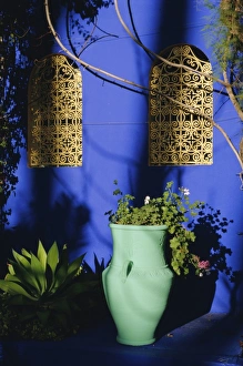 Moroccan Gallery: Majorelle Gardens