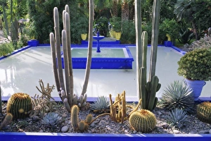 Majorelle Gardens