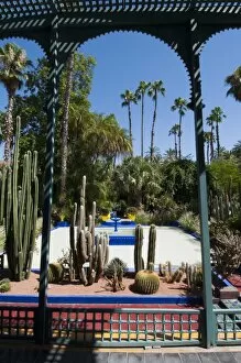 Images Dated 9th July 2009: Majorelle Gardens, Marrakech, Morocco, North Africa, Africa