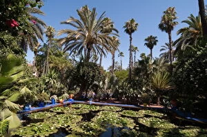Images Dated 9th July 2009: Majorelle Gardens, Marrakech, Morocco, North Africa, Africa