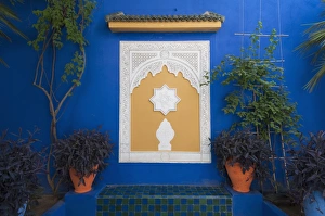 Images Dated 9th July 2009: Majorelle Gardens, Marrakech, Morocco, North Africa, Africa