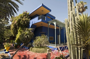 Images Dated 9th July 2009: Majorelle Gardens, Marrakech, Morocco, North Africa, Africa