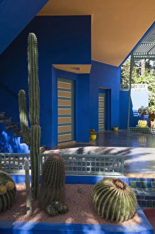 Images Dated 9th July 2009: Majorelle Gardens, Marrakech, Morocco, North Africa, Africa