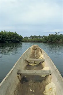 Makasutu, near Banjul, Gambia, West Africa, Africa