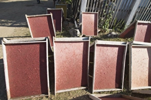 Paper Prints: Making paper in village near Luang Prabang, Laos, Indochina, Southeast Asia, Asia