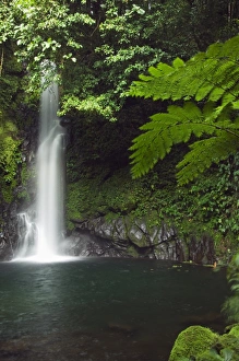 Luzon Prints: Malabsay Waterfall