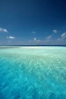 Maldives Tropical beach