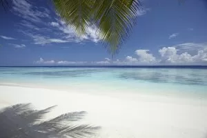 Images Dated 4th December 2011: Maldives tropical beach, Maldives, Indian Ocean, Asia