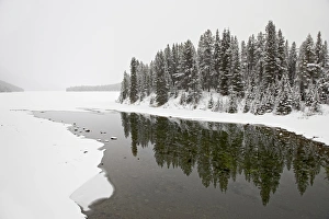 Malign River and Malign Lake in winter, Jasper National Park, UNESCO World Heritage Site