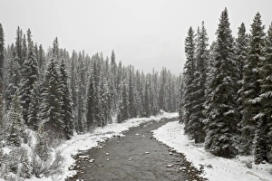 Malign River in winter, Jasper National Park, UNESCO World Heritage Site Malign River in winter, Jasper National Park, UNESCO World Heritage Site