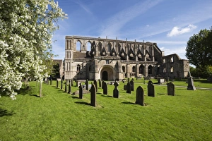 Gravestone Prints: Malmesbury Abbey, Malmesbury, Wiltshire, England, United Kingdom, Europe