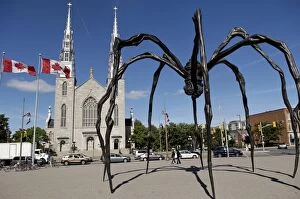 Images Dated 28th June 2007: Maman a 21st century bronze sculpture of a spider, 9.25m high with a sac of 26 eggs