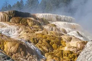 Natural Pattern Prints: Mammoth Hot Springs terraces, Yellowstone National Park, UNESCO World Heritage Site