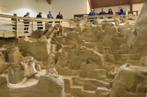 Images Dated 28th September 2007: The Mammoth Site, Hot Springs, Black Hills, South Dakota, United States of America