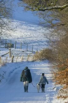 Images Dated 7th January 2010: A man and boy with a dog walk along a snowy lane, Newbridge-on-Wye, Powys, Wales, United Kingdom