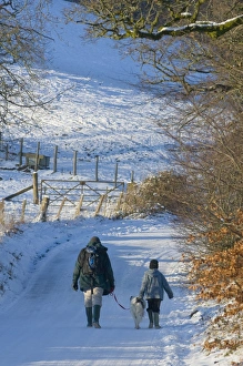 Lane Prints: A man and boy with a dog walk along a snowy lane