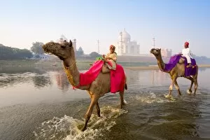 Images Dated 18th October 2006: Man and boy riding camels in the Yamuna River in front of the Taj Mahal