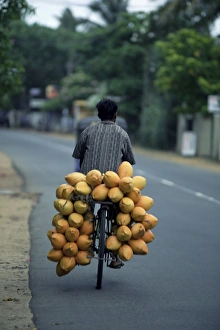 Sinelese Prints: Man carrying coconuts on the back of his bicycle
