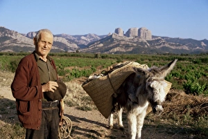 Farmer Prints: Man and donkey