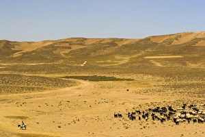 Man on donkey, between Chakhcharan and Jam, Afghanistan, Asia