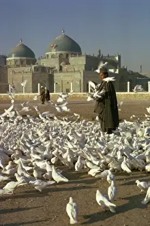 Feeding Prints: Man feeding white doves in front of the shrine of Ali at Mazar-i-Sharif in Afghanistan