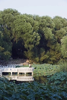 Pondering Prints: Man fishing at Zizhuyuan Black Bamboo Park, Beijing, China, Asia