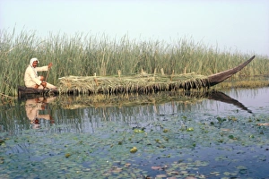 Marshes Prints: Man gathering reeds